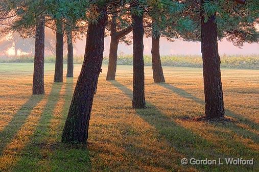 Sunrise Shadows_20444-5.jpg - Photographed near Smiths Falls, Ontario, Canada.